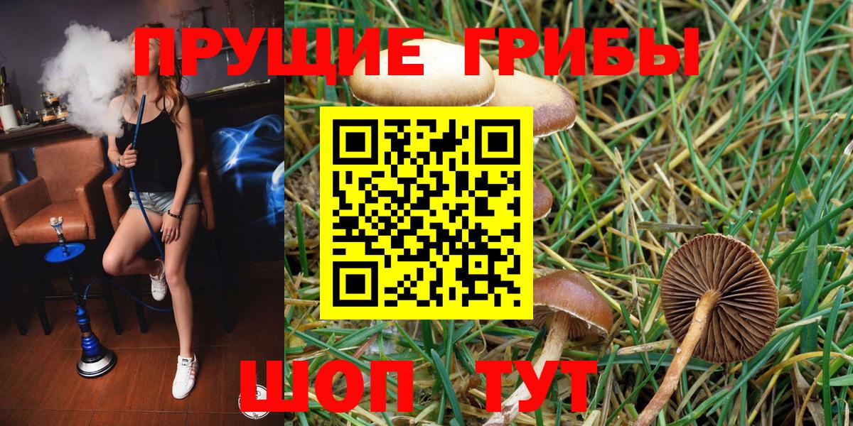 Галлюциногенные грибы Cubensis Лабинск